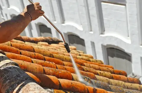 Nettoyage de toitures - Tresson
